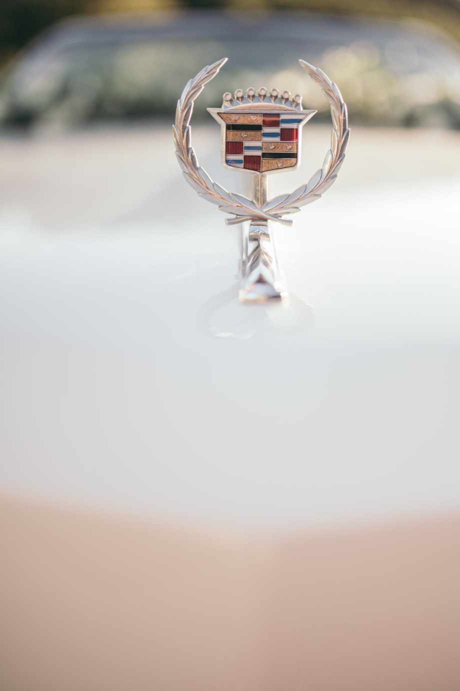 WhatsApp Image 2023-01-13 at 16.06.35.jpeg